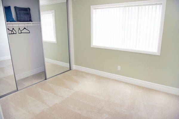 bedroom with closet